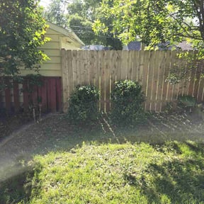 Bush Trimming by D and h lawnservice reviewed on August 20, 2025