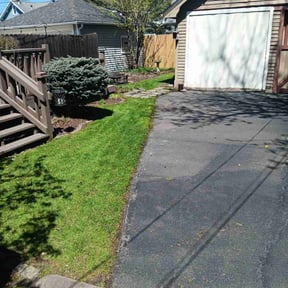 turf maintenance by Parker&#039;s Property Services reviewed on August 11, 2024