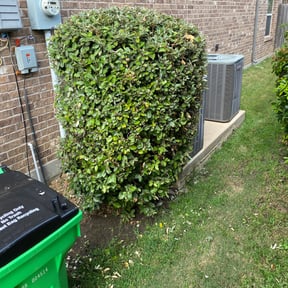 Bush Trimming by Jon’s Lawncare reviewed on August 21, 2025