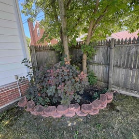 Bush Trimming by Aaron&#039;s Landscaping reviewed on November 20, 2025