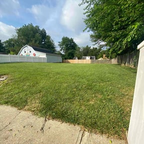Tree Care by Landscape Management reviewed on August 17, 2025