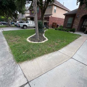 yard maintenance by Collins Lawn Care reviewed on August 15, 2025