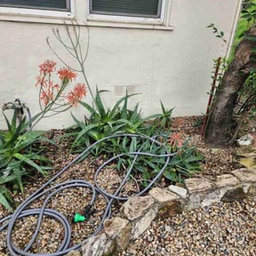 Flower Bed Weeding by Sánchez lawn care reviewed on December 2, 2025