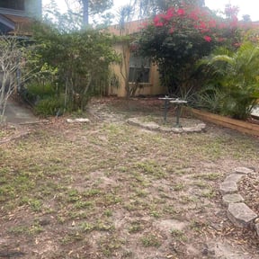 Leaf Removal by Carbon Dioxide Recyclers reviewed on September 14, 2025