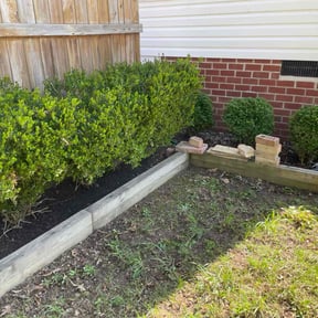 Leaf Removal by Bo Mows reviewed on September 20, 2025