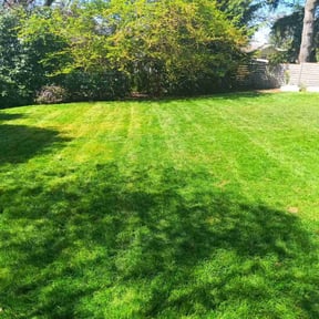 lawn care services by OnlyGrass reviewed on July 8, 2025