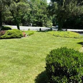 yard maintenance by Robert Bond Sr  reviewed on December 13, 2025