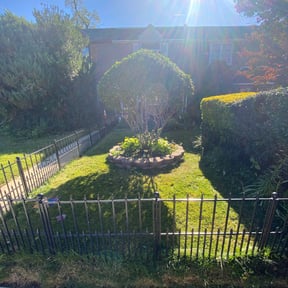 Bush Trimming by Over the rainbow lawn care reviewed on August 16, 2025
