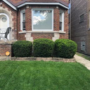 Bush Trimming by Jerry Rios Lawn Serviceu reviewed on August 19, 2025