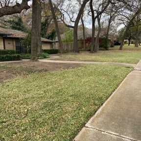 Leaf Removal by Patriot Blades Lawn Co. reviewed on September 28, 2025