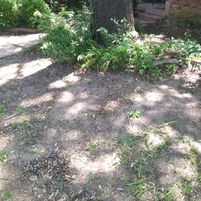 Leaf Removal by Boog's Renovations LLC reviewed on September 27, 2025