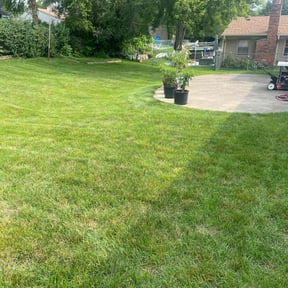 landscaping by Olguin Property Management reviewed on August 19, 2025