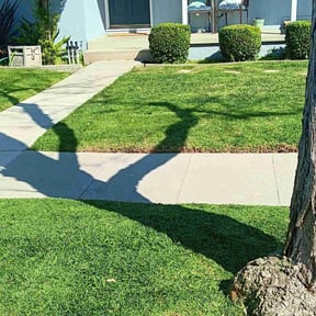 yard work by Forever Green FG LLC reviewed on August 17, 2025
