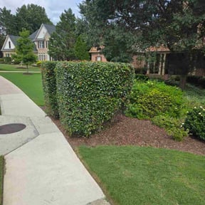 Bush Trimming by Muniz landscaping reviewed on October 24, 2025