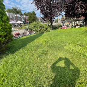 Bush Trimming by A Vision Landscape Maintenance reviewed on August 19, 2025