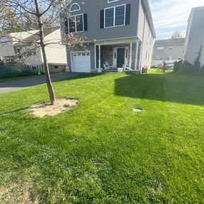 grass cutting by RB Mowing reviewed on August 19, 2025