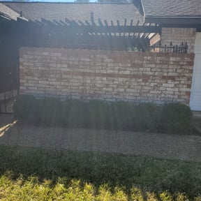 Bush Trimming by Cre8tive Art&#039;s Work LLC Lawn Care &amp; Property Preservation reviewed on August 15, 2025