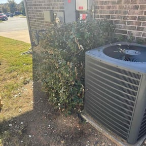 Bush Trimming by Valenciano Lawn Services LLC reviewed on November 23, 2025