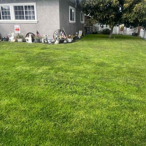 landscaping services by Forever Green FG LLC reviewed on August 16, 2025