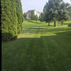 landscaping by Herrera and Sons Lawn Care reviewed on August 21, 2025