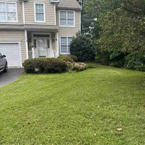 Bush Trimming by Rafaelromerolandscaping reviewed on November 9, 2025