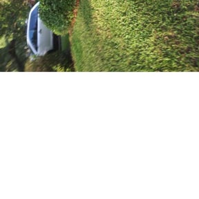 Bush Trimming by Bright Lawn Landscaping reviewed on August 17, 2025