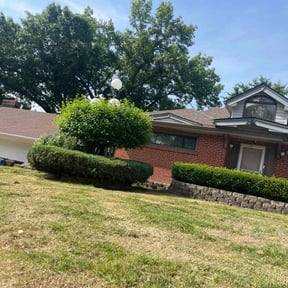 Bush Trimming by Quality Landscaping reviewed on August 16, 2025