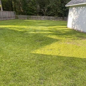 yard maintenance by Johnny's lawn reviewed on August 15, 2025