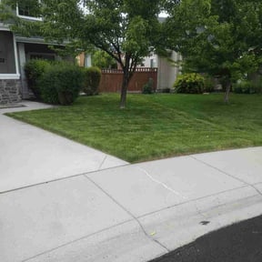 turf care by Momentum mower reviewed on August 16, 2025