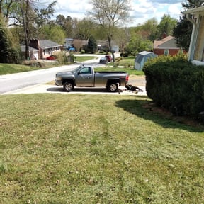 Bush Trimming by Smack Down lawns and tractor services reviewed on August 20, 2025