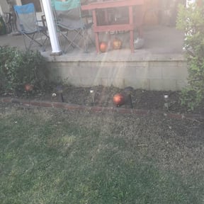 Bush Trimming by Et lawn care reviewed on August 21, 2025