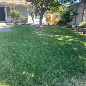 landscaping by Mow-2-Snow Yard Service reviewed on August 15, 2025