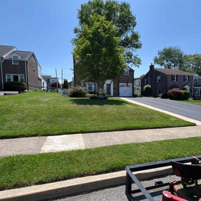 lawn care by Philly Lawn Care reviewed on June 17, 2025