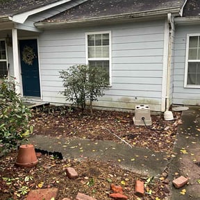 Bush Trimming by Improvedetailing.com reviewed on November 24, 2025