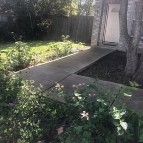 Bush Trimming by Roy Reddick reviewed on August 15, 2025