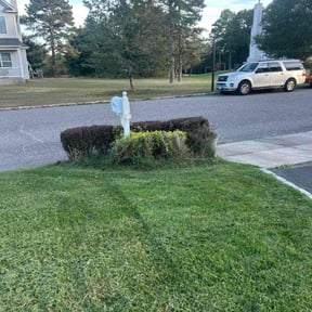 Bush Trimming by Chase property management and improvements llc reviewed on October 21, 2025