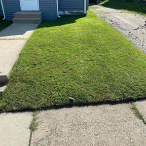 turf care by Salvus Lawncare reviewed on June 10, 2025