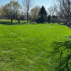 Bush Trimming by Majest Enterprises LLC reviewed on August 21, 2025