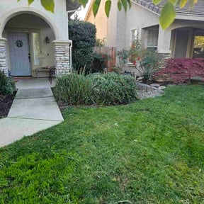Bush Trimming by Cutler Lawn Care reviewed on November 21, 2025