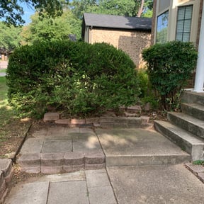 Bush Trimming by Cameron Lawn Care reviewed on February 11, 2026