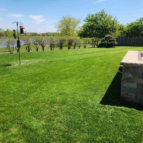 yard care by R&T lawncare reviewed on August 20, 2025
