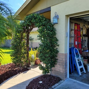 Bush Trimming by Structure Serve reviewed on August 20, 2025