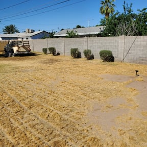 Bush Trimming by Holloway Property Management Edmond reviewed on August 17, 2025