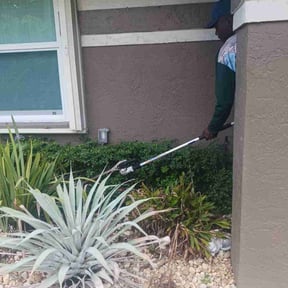 Bush Trimming by Premium grass cutz reviewed on August 19, 2025