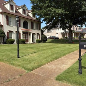 yard service by Mitchell&#039;s Lawn Care reviewed on August 15, 2025