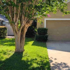 residential landscaping by Premier One Landscape reviewed on December 7, 2025