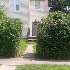 Bush Trimming by Lion&#039;s Heart Lawn Care reviewed on September 19, 2023