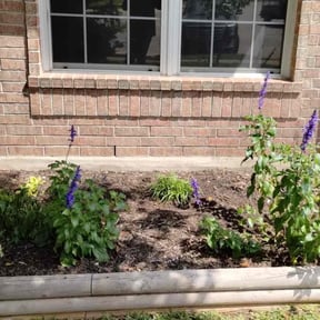 Flower Bed Weeding by Ultimate Landscape Contractor reviewed on August 21, 2025