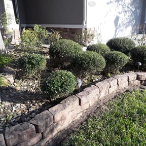 Bush Trimming by Performance Services. reviewed on November 23, 2025