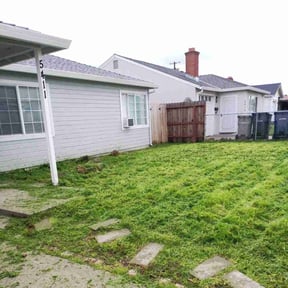 turf care by Wilson-Maintenance reviewed on September 7, 2023